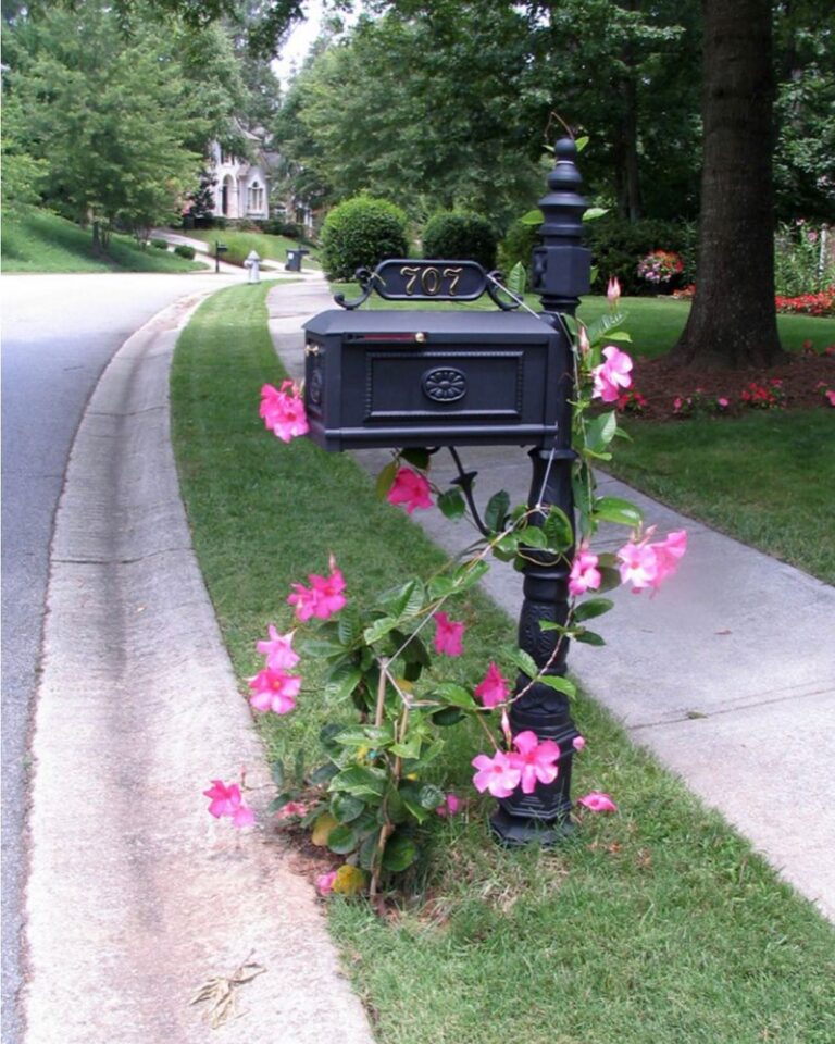 Our Mailbox in your HOA